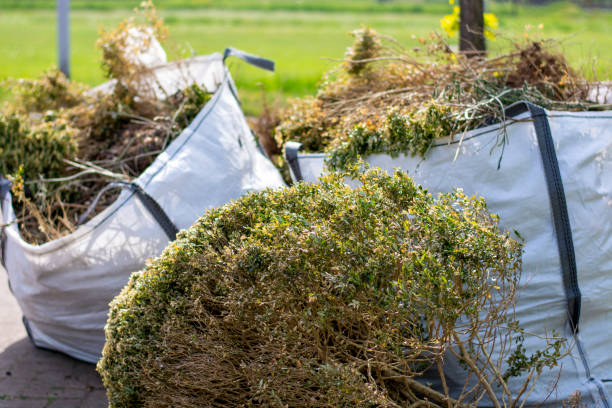 Best Junk Hauling Services  in North Auburn, CA